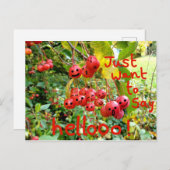 Woll einfach Hellooo zu sagen! Postkarte (Vorne/Hinten)