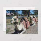 Woll zu fahren? postkarte (Vorne/Hinten)