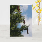 Wollemi Pine Tree Cones Card Karte (Gelbe Blume)