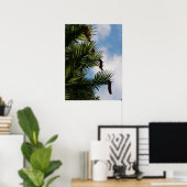 Wollemi Pine Tree Cones Poster (Heimbüro)
