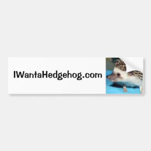 Wollen Sie einen Igel? Autoaufkleber