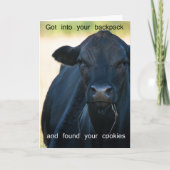 Wollen Sie s'more Plätzchen Karte (Vorderseite)