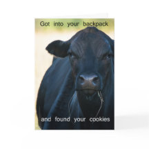 Wollen Sie s'more Plätzchen