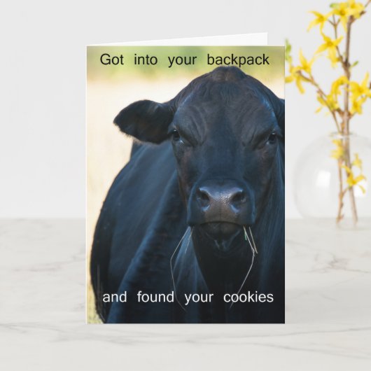 Wollen Sie s'more Plätzchen Karte (Gelbe Blume)