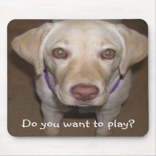 Wollen Sie, um zu spielen? Gelber Labrador Mousepad