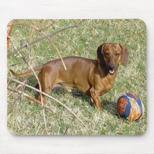 Wollen Sie, um zu spielen? Mousepad (Vorne)