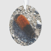 Wolliger Bär Ornament (Vorderseite)