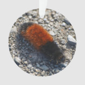 Wolliger Bär Ornament (Vorderseite)