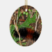 Wolliger Bärn-Raupe - Fotografie Keramikornament (Rechts)