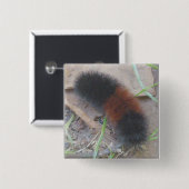 Wolliger Bärn-Raupen-Knopf Button (Vorne & Hinten)