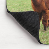 Wolliges Alpakas ~ mousepad (Ecke)