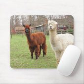 Wolliges Alpakas ~ mousepad (Mit Mouse)