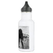 Wolliges Mammut-Mod-Schicksal Edelstahlflasche (Rechts)