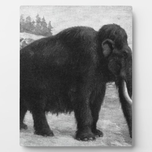 Wolliges Mammut-Mod-Schicksal Fotoplatte (Vorderseite)