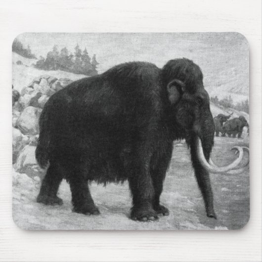 Wolliges Mammut-Mod-Schicksal Mousepad (Vorne)