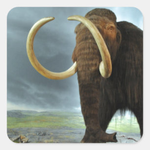 Wolliges Mammut-Mod-Schicksal Quadratischer Aufkleber