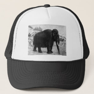Wolliges Mammut-Mod-Schicksal Truckerkappe