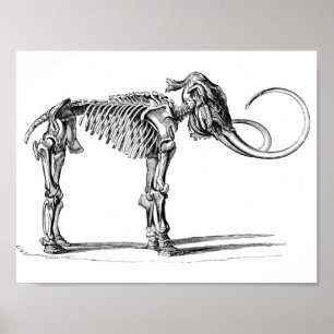 Wolliges Mammut-Plakat Poster