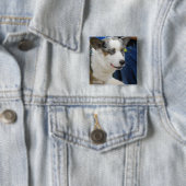 Wolljacken-Walisercorgi-Hundeknopf Button (Beispiel)