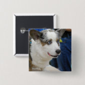 Wolljacken-Walisercorgi-Hundeknopf Button (Vorne & Hinten)