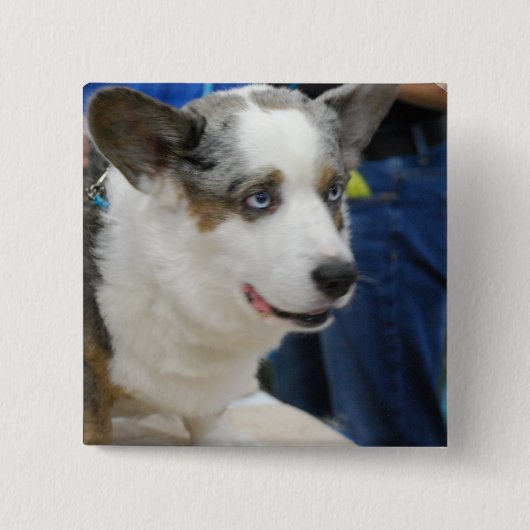 Wolljacken-Walisercorgi-Hundeknopf Button (Vorderseite)