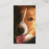 Wolljacken-Walisercorgi-HundeVisitenkarte Visitenkarte (Rückseite)