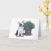 Wolljacken-WaliserCorgi Notecard ~ Blau Merle Karte (Gelbe Blume)