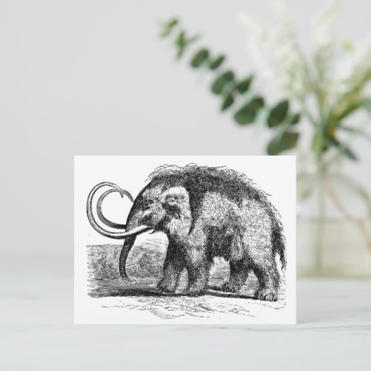 Wollmammut-2 Postkarte (Stehend Vorderseite)