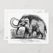 Wollmammut-2 Postkarte (Vorne/Hinten)