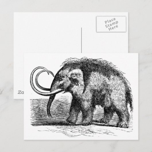 Wollmammut-2 Postkarte (Vorne/Hinten)