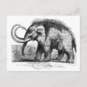 Wollmammut-2 Postkarte (Vorderseite)