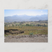 Wollo Postkarte (Vorderseite)