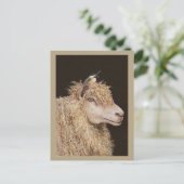 Wollsammelkarte Postkarte (Stehend Vorderseite)