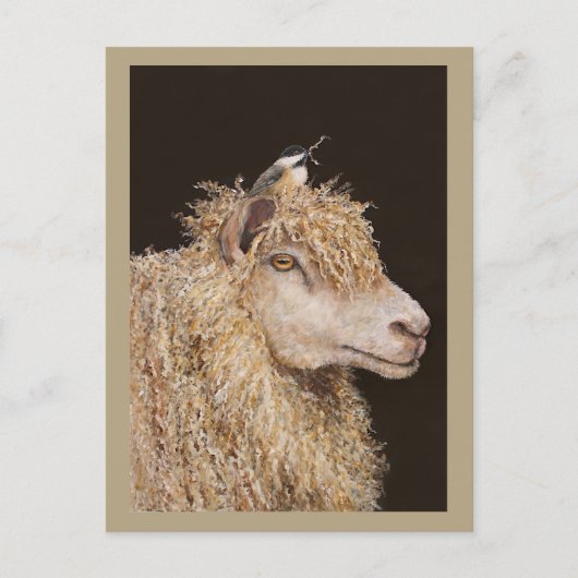 Wollsammelkarte Postkarte (Vorderseite)