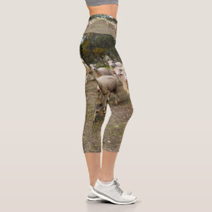 Wollschaf kommt marching, Hochkapris-Leggings Capri Leggings