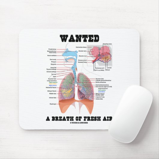 Wollte einen Atemzug mit frischer Luft (Atemsystem Mousepad (Mit Mouse)