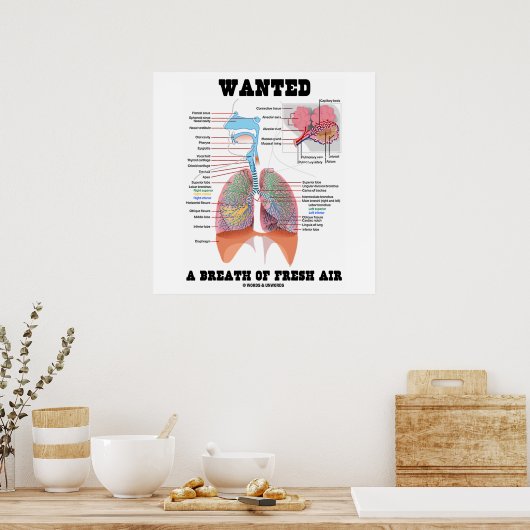 Wollte einen Atemzug mit frischer Luft (Atemsystem Poster (Küche)