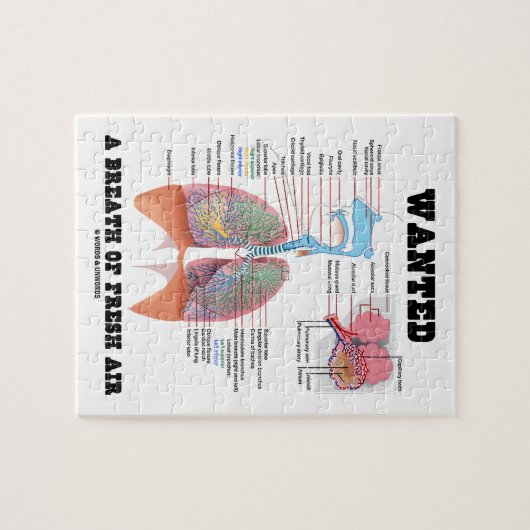 Wollte einen Atemzug mit frischer Luft (Atemsystem Puzzle (Horizontal)