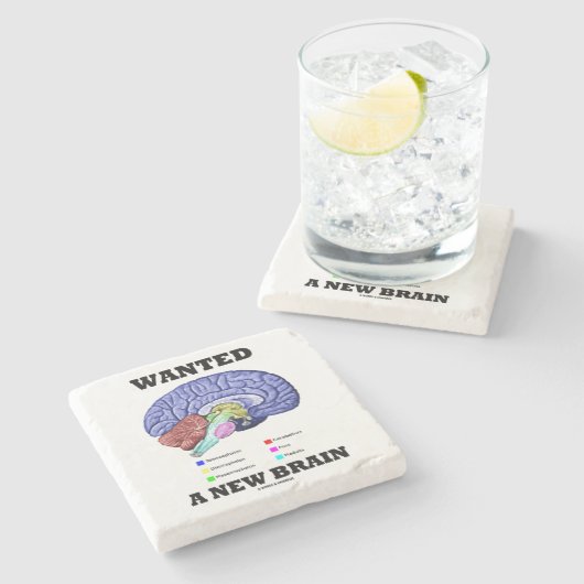 Wollte einen neues Gehirn-anatomischen Gehirn-Spaß Steinuntersetzer (Seitenansicht)