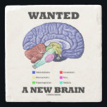 Wollte einen neues Gehirn-anatomischen Gehirn-Spaß Steinuntersetzer<br><div class="desc">Stellen Sie Ihren wry anatomischen medizinischen Geek zur Schau,  Spaß,  denhaltung mit diesem Untersetzer,  der die verschiedenen Teile des menschlichen Gehirns zusammen mit dem Sprichwort "kennzeichnet,  ein neues Gehirn wollte".</div>