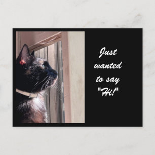Wollte NUR "HI!" ZU SAGEN! Kitty Postcard Postkarte