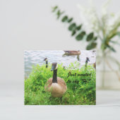 Wollte NUR "HI!" ZU SAGEN! Postkarte (Stehend Vorderseite)