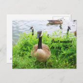 Wollte NUR "HI!" ZU SAGEN! Postkarte (Vorne/Hinten)