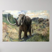 Wolly Mammoth Poster (Vorne)