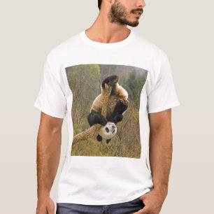 Wolong Panda Reserve, China, 2 1/2 Jahre alt T-Shirt