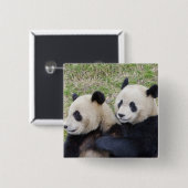 Wolong Reserve, China, Riesenpanda-Umarmung Button (Vorne & Hinten)