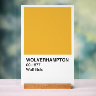 Wolverhampton Wolf Gold - Weißer Hintergrund Acrylschild