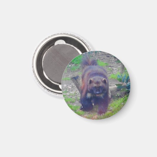 Wolverine #1 Magnet (Vorderseite/Rückseite)