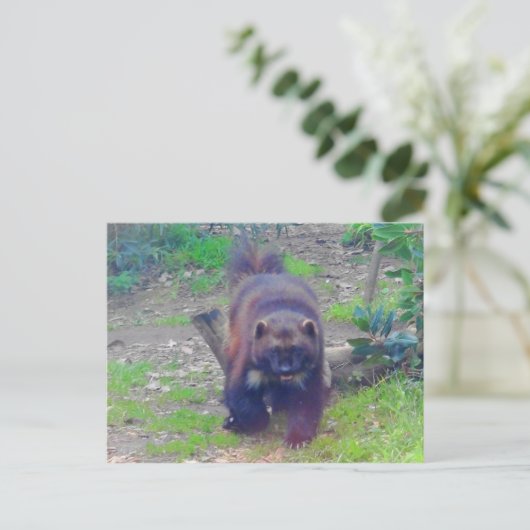 Wolverine #1 Postcard Postkarte (Stehend Vorderseite)