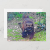 Wolverine #1 Postcard Postkarte (Vorne/Hinten)